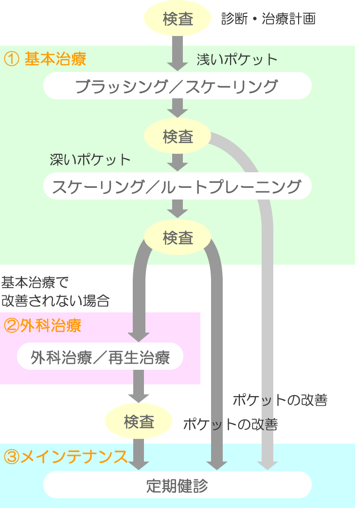 歯周病治療の流れ