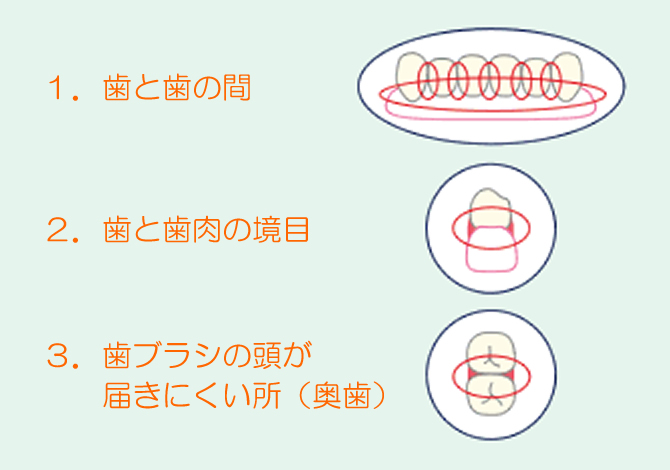 正しいブラッシング法